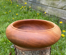 Reserved for Amy: Butternut Bowl