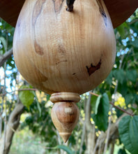 Birdhouse, Elegant Zen Birdhouse Made From Black Cherry and Ambrosia Maple