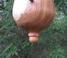 Birdhouse, Acorn Shaped Usable Black Cherry and Walnut Birdhouse