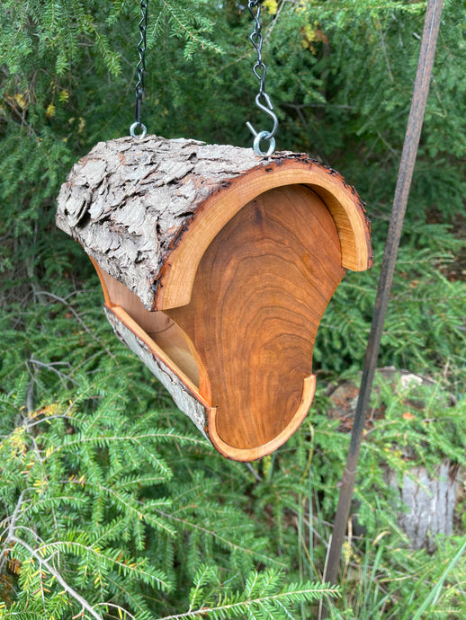 Bird Feeder, Wild Cherry Fly Through Bird Feeder, Medium