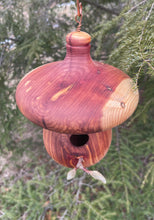 Eastern Red Cedar Acorn-Shaped Usable Birdhouse
