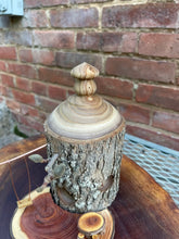 Fairy House With Miniature Fairy Dinette and Kinetic Swing, Catalpa