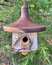 White Birch and Black Walnut Usable Birdhouse