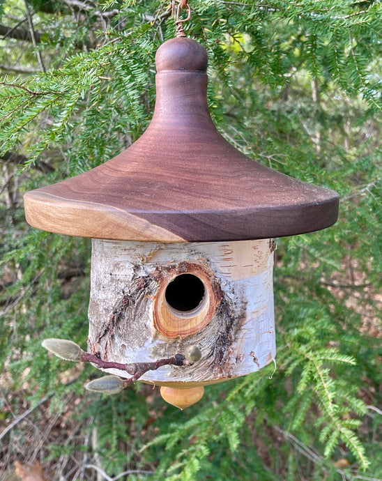 White Birch and Black Walnut Usable Birdhouse