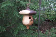 Birdhouse, Acorn Shaped Usable Black Cherry and Walnut Birdhouse