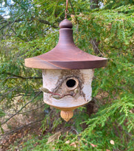 Usable White Birch and Walnut Birdhouse