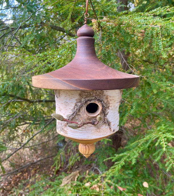 Usable White Birch and Walnut Birdhouse