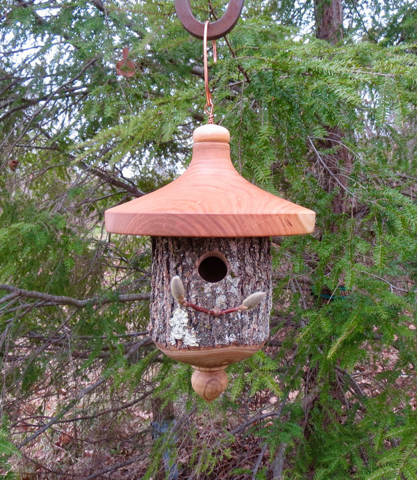 Black Cherry and Catalpa Bark Usable Birdhouse