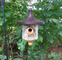 Birdhouse, Large White Birch and Black Walnut Usable Birdhouse