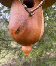 Birdhouse, Black Cherry Hardwood Outdoor Birdhouse