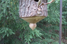 Birdhouse, Elm Bark Rustic Birdhouse