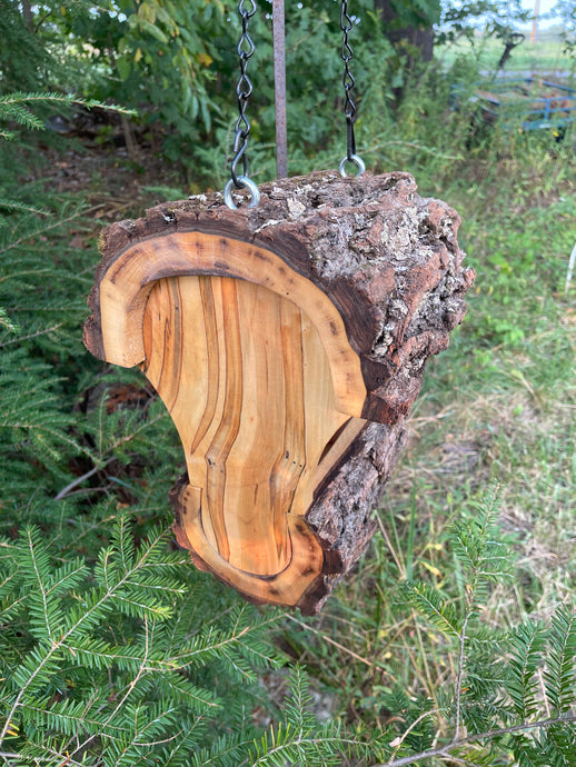 Bird Feeder, Hanging Fly Through Walnut Bird Feeder