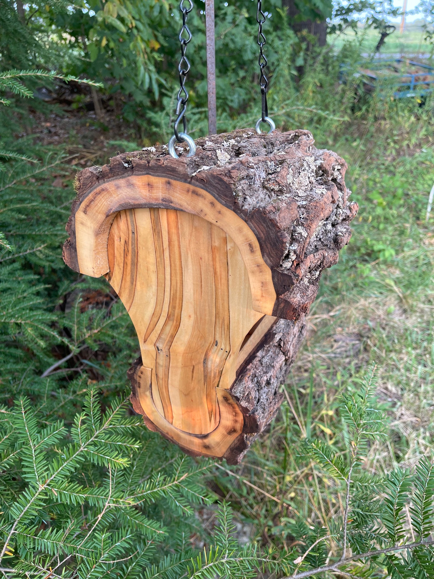 Bird Feeder, Hanging Fly Through Walnut Bird Feeder