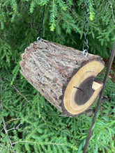 Bird Feeder, Walnut Log Hanging Bird Feeder, large