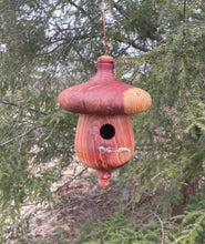 Eastern Red Cedar Acorn-Shaped Usable Birdhouse