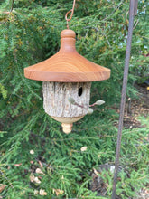 Natural Bark Elm Usable Birdhouse
