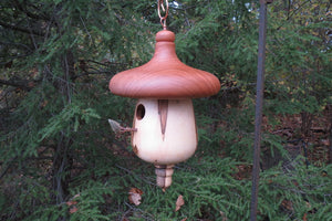 Birdhouse, Acorn Shaped Usable Black Cherry and Ambrosia Maple Birdhouse