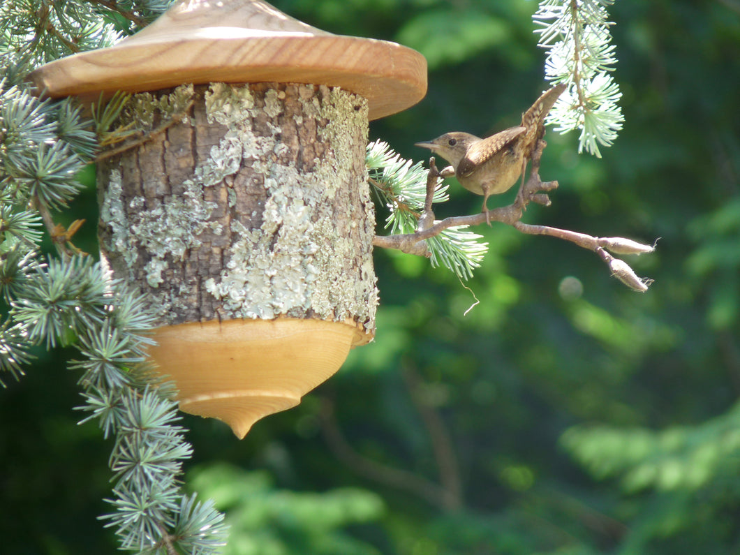 Natural Birdhouse, wren using one of our birdhouses, Schoolhouse Woodcrafts