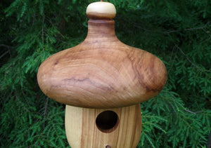 Birdhouse, Acorn Shaped Usable Red Elm Birdhouse