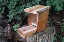 Inside view, Bluebird nest box