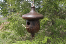 Birdhouse, Black Walnut Acorn Shaped Usable Hardwood Birdhouse