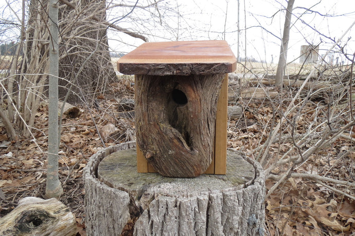 Bluebird nesting box, designed and created by Schoolhouse Woodcrafts