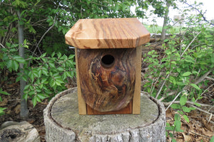 Bluebird nesting box, designed and created by Schoolhouse Woodcrafts