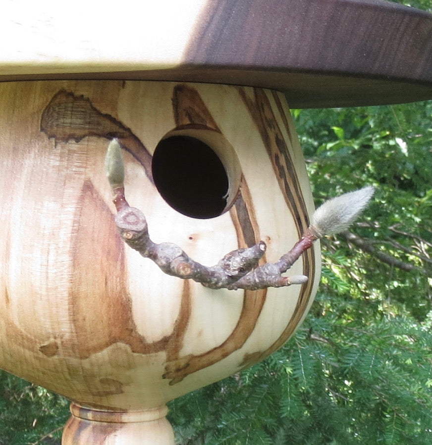 Magnolia perch for Schoolhouse Woodcraft's  birdhouse