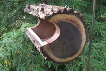 Bird Feeder, Extra Jumbo Sized Black Walnut Log Bird Feeder