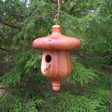 Birdhouse, Elm Acorn Usable  Hardwood Birdhouse