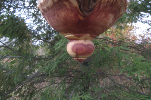 Birdhouse, Eastern Red Cedar Bark Usable Birdhouse