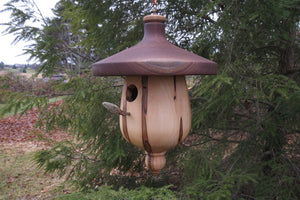 Birdhouse, Black Walnut and Ambrosia Maple Birdhouse