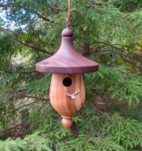 Walnut and Maple Birdhouse,  Elegant Unique and Usable Birdhouse