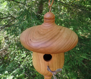 Unique Birdhouse, Outdoor Birdhouse, Black Cherry Acorn-Shaped Birdhouse