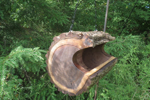 Bird Feeder, Extra Jumbo Sized Black Walnut Log Bird Feeder