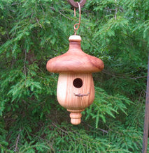 Elm usable Acorn birdhouse designed and created by Schoolhouse Woodcrafts