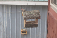 Bird feeder, fly-through birdfeeder, birds in Bird feeder