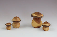 miniature wood mushrooms, 4 sizes of mushrooms